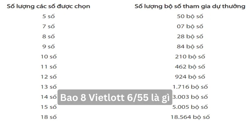 bao-8-vietlott-la-gi