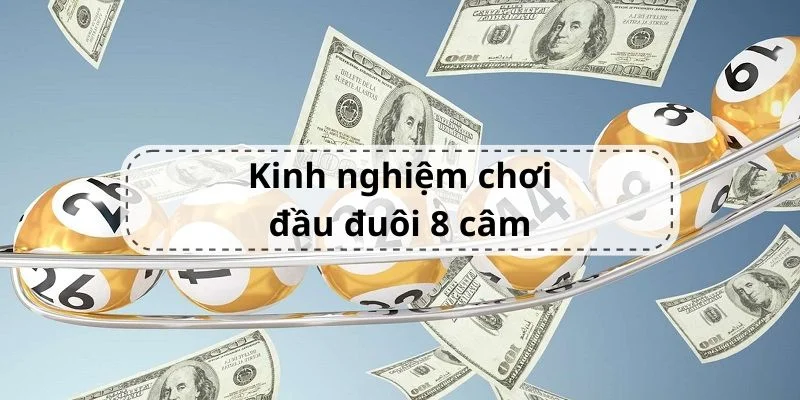 kinh-nghiem-danh-8-cam-dau-duoi