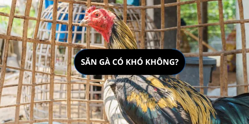 san-ga-co-kho-khong