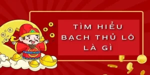 tim-hieu-bach-thu-lo-la-gi