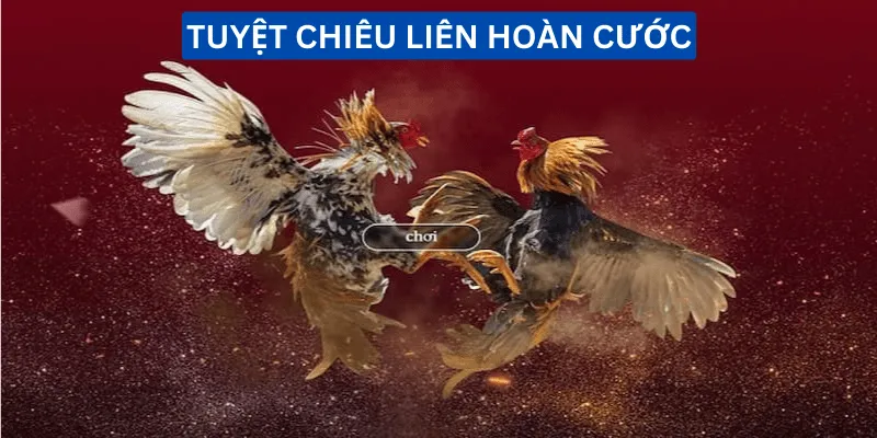 tuyet-chieu-lien-hoan-cuoc