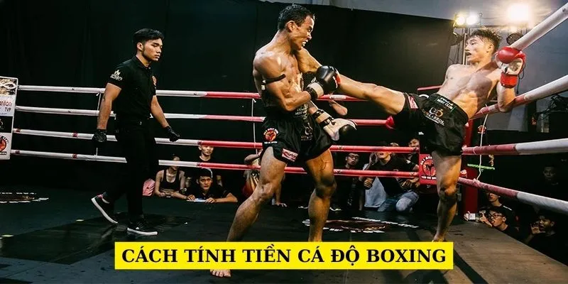 cach-tinh-tien-ca-do-boxing