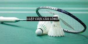 luat-cuoc-cau-long